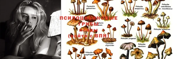 герыч Абдулино
