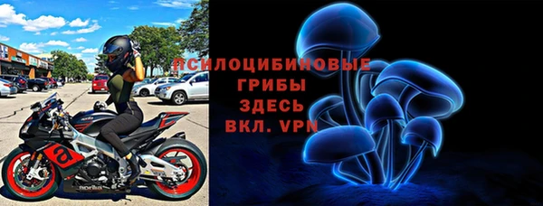 соль ск Алексин