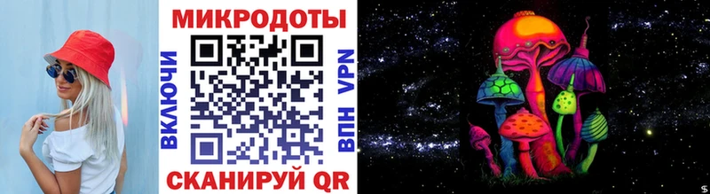 дарнет шоп  Астрахань  Галлюциногенные грибы мицелий 